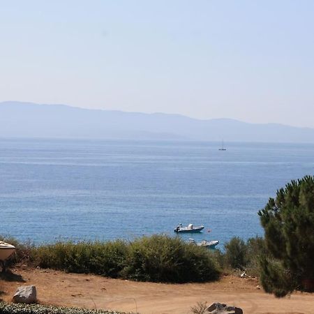 F2 Vue Mer Dans Residence Avec Piscine Ajaccio  Eksteriør bilde