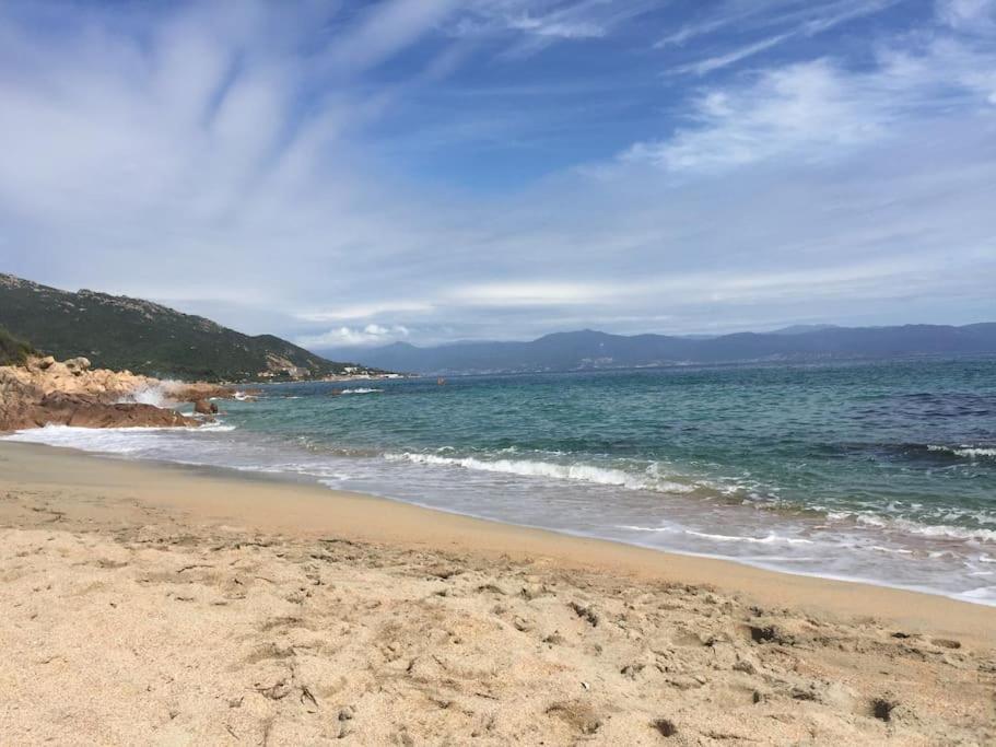 F2 Vue Mer Dans Residence Avec Piscine Ajaccio  Eksteriør bilde