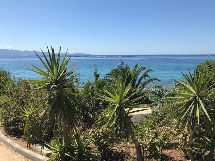 F2 Vue Mer Dans Residence Avec Piscine Ajaccio  Eksteriør bilde