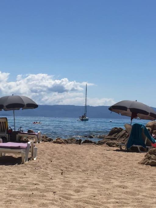 F2 Vue Mer Dans Residence Avec Piscine Ajaccio  Eksteriør bilde